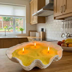 Classic Series 18 oz-Fresh fruit